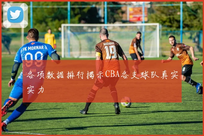 各项数据排行揭示CBA各支球队真实实力