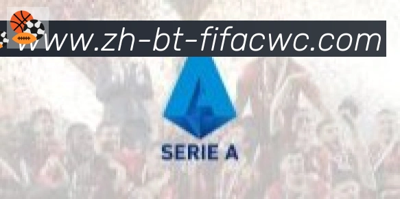 世界杯在线观看合作伙伴
