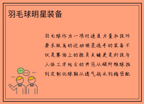 羽毛球明星装备